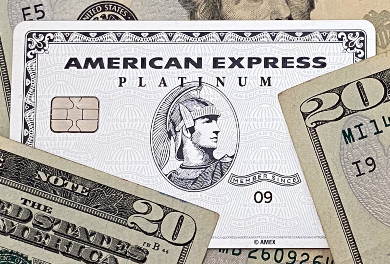 american express 800 number