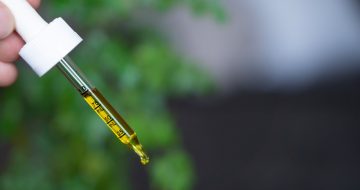 CBD Payment Gateway: Still A Struggle for Millionaire Merchants