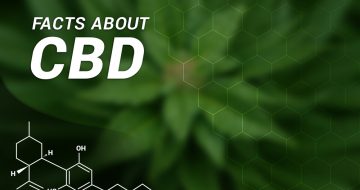 How to Navigate US Federal Regulations on CBD Sales from Shopify and Online Storefronts