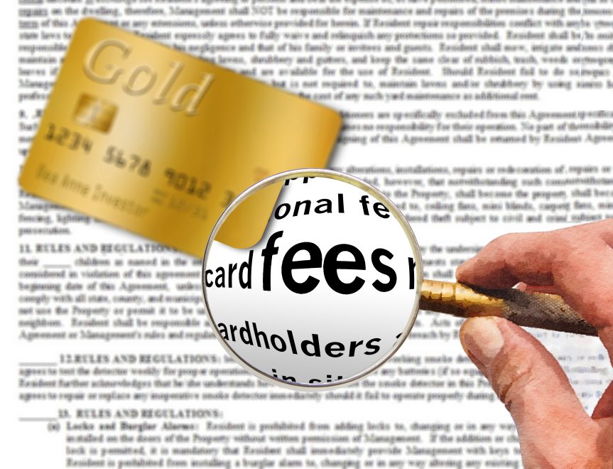 Save Thousands by Optimizing Credit Card Processing Fees - DirectPayNet